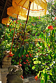 Umbrellas at the deserted garden of the Matahari Hotel, Pemuteran, North west Bali, Indonesien, Asia