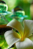 Detail of the spa at Four Seasons Hotel, Sayan, Ubud, Central Bali, Indonesia, Asia