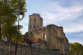 Ruin of Abbey Church Notre-Dame de la Sauve, The Way of Saint James, Chemins de Saint Jacques, Via Turonensis, La Sauve-Majeure, Dept. Gironde, Région Aquitaine, France, Europe