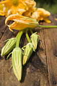 Agriculture, Close up, Close-up, Closeup, Color, Colour, Courgette, Courgettes, Crop, Crops, Farming, Flower, Flowers, Food, Foodstuff, Harvest, Harvesting, Harvests, Healthy, Healthy food, Lumber, Many, Natural, Nourishment, Still life, Veg, Vegetable, V