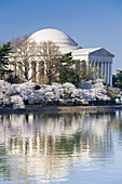 Jefferson Memorial, Washington DC. USA.