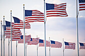 American Flags