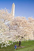 Washington Monument, Washington D.C. USA