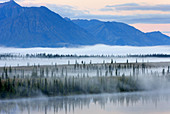 Morning fog at Broad Pass, Alaska, USA