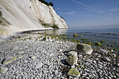 Møns Klint. South Zealand. Denmark.