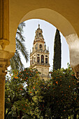 Patio de los Naranjos, courtyard and minaret tower of the Great Mosque. Córdoba. Spain
