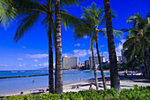 Kuhio Beach, Waikiki, Honolulu, Oahu, Hawaii USA