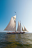 Schooner Nathaniel Bowditch sailing on Penobscot Bay, Maine USA
