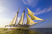 Schooner Heritage sailing into Pulpit harbor, Penobscot Bay, Maine USA