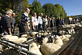 Livestock Market Builth Wells Mid wales Powys GB