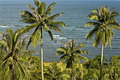 Tasikoki, tropical seashore with palm trees, Sulawesi, Indonesia