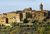 Castelmuzio, Tuscan village on top of a hill, near Pienza, fields and olive trees, colours of autumn, Tuscany, Italy
