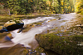 Salmon River in Autumn - Mt  Hood National Forest, Oregon