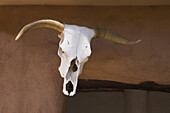 America, Ancient, Antique, Bull, Color, Colour, Horns, New Mexico, Old, Skeleton, Skull, Southwest, Steer, Usa, S19-656864, agefotostock