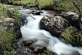 Arroyo Carneros. Sierra de Guadarrama. Castilla León. Spain..