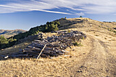 Logs in Sierra de la Puebla. Madrid. Spain..