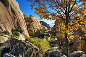 La Pedriza. Parque Regional de la Cuenca Alta del Manzanares. Sierra de Guadarrama. Madrid. España.