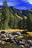 View of Pyrenees Mountains from Aiguamotx valley. Vall d'Aran, Catalunya, Spain.