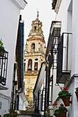 Historic city of Cordoba. Andalucia. Spain