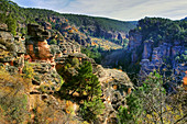 Sickle of Gallo River. Alto Tajo Natural Park. Guadalajara province, Spain