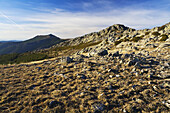 Porrejón. Sierra de la Puebla. Madrid. Spain.