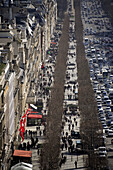 Avenue des Champs_Elysees. Paris. France