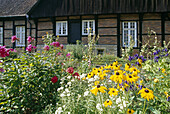Cottage garden, Muensterland, North Rhine-Westphalia, Germany
