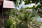 Beach cottage with palm trees, Mae Hat Bay, Ko Pha Ngan, Thailand