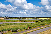 Cyclists near Morsum, Sylt Island, Schleswig-Holstein, Germany