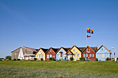 Coloured houses, Steenodde, Amrum island, North Frisian Islands, Schleswig-Holstein, Germany