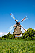 Windmühle in Oldsum, Föhr, Nordfriesland, Schleswig-Holstein, Deutschland