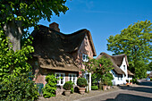 Thatched houses, Nieblum, Foehr island, North Frisian Islands, Schleswig-Holstein, Germany