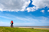 Cyclist on a dyke, Foehr island, North Frisian Islands, Schleswig-Holstein, Germany