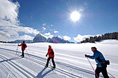 Three cross-country skiers in the sunlight, Alpe di Siusi, Valle Isarco, South Tyrol, Italy, Europe