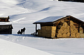 Ein Pferdeschlitten neben einer schneebedeckten Almhütte mit Heuballen, Südtirol, Italien, Europa