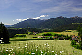 Mountain landscape in summer, Rodeneck, Puster Valley, South Tyrol, Italy