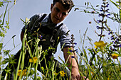 Franz Gostner picking flowers in a meadow, Gostner Schwaige, Alp, South Tyrol, Italy