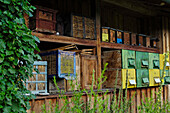 Bee hives in the South Tyrolean local history museum at Dietenheim, Puster Valley, South Tyrol, Italy