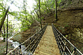 Suspension bridge in the woods, Oachner trails, Voels am Schlern, Fiè allo Sciliar, South Tyrol, Italy