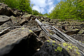 Oachner trails, Voels am Schlern, Fiè allo Sciliar, South Tyrol, Italy