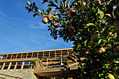 Aussenansicht des Designhotel Pergola Residence im Sonnenlicht, Meran, Vinschgau, Südtirol, Italien, Europa