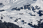 Alpine hut Zallinger amidst snowy ski slopes, Alpe de Siusi, South Tyrol, Italy, Europe