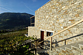 Das Hotel Pergola Residence und Weinfelder unter blauem Himmel, Meran, Vinschgau, Italien, Europa