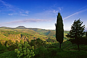 Hilly landscape in the sunlight, Val d'Orcia, Tuscany, Italy, Europe