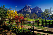 Cottage garden, San Valentino, view to Monte Sciliar, Dolomite Alps, South Tyrol, Italy