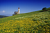 Blumenwiese, Kapelle St. Valentin, Seis am Schlern, Dolomiten, Südtirol, Italien