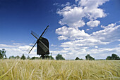Windmill near Toenisberg, Lower Rhine Region, North Rhine-Westphalia, Germany