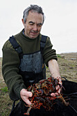 Fishing Red Swamp Crayfish (Procambarus clarkii). Doñana National Park. Spain.