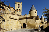 Castle-palace, Olite. Navarra, Spain