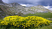 Parque Natural y Reserva de la Biosfera de Somiedo. Asturias. España